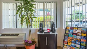 A room with a potted plant, a coffee machine, a bulletin board with travel brochures, and a window with blinds. - Motel 6 Yuma, AZ - East (Yuma)