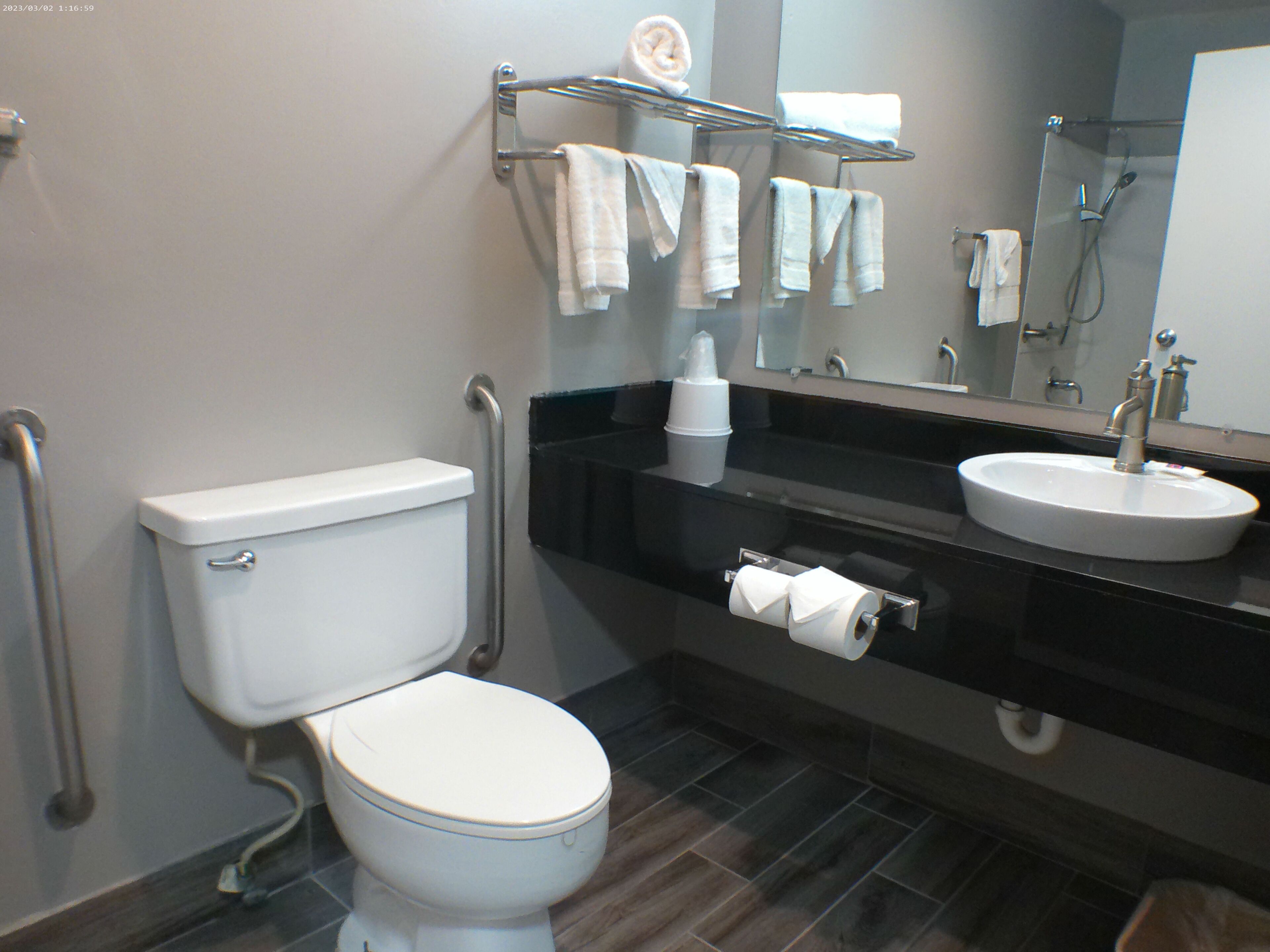 Ein modernes Badezimmer mit Toilette, Waschbecken und Handläufen.