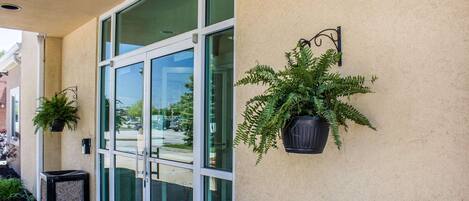A building entrance with a glass door, potted plants, and a black trash bin.