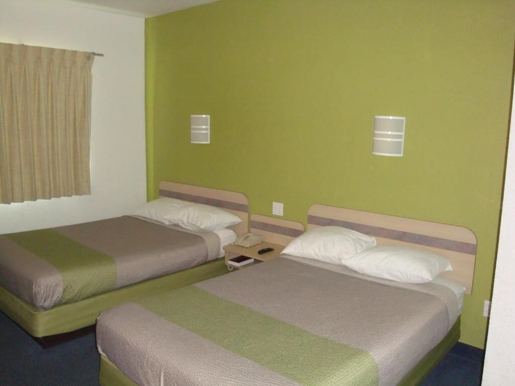Two single beds with green walls and white headboards, each with a bedside table and lamp.