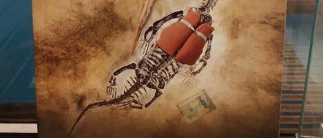 Póster que anuncia una exposición de dinosaurios en Dinoland, con un esqueleto de dinosaurio grande y un bate de béisbol.