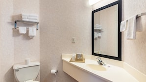 Une salle de bain équipée de toilettes, d’un lavabo, d’un miroir, d’un porte-serviettes et de papier toilette.