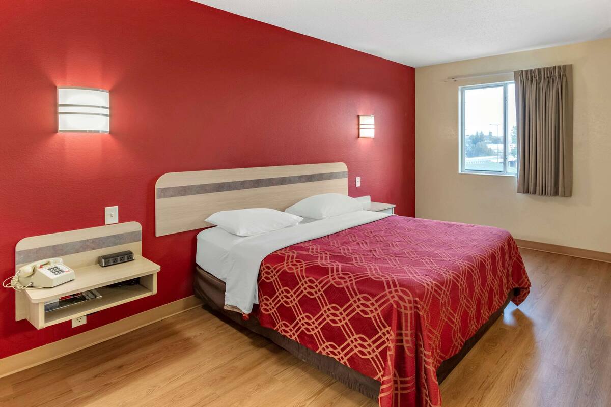 A hotel room with a red wall, a bed with a red patterned bedspread, a bedside table with a phone, and a window with curtains.