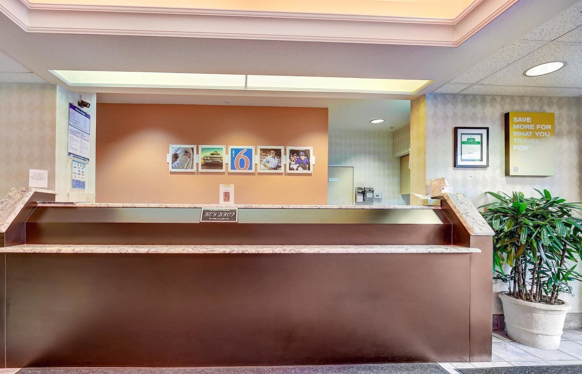 A reception desk with a brown counter, framed pictures on the wall, and a potted plant to the right.