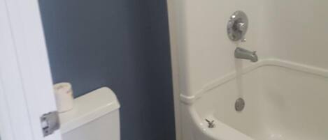 A bathroom with a toilet and a bathtub.