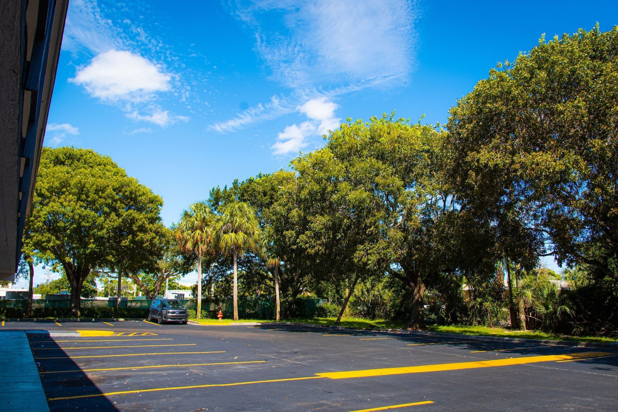 A parking lot with marked spaces, trees, and a clear blue sky.