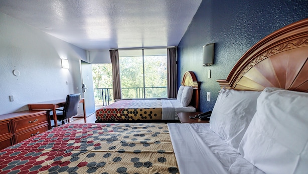 A hotel room with a large bed, a desk, a chair, and a balcony with a view of trees.