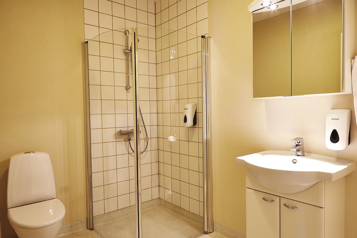 A bathroom with a glass-enclosed shower, a toilet, and a sink with a mirror above.