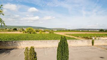 Utsikt mot trädgården