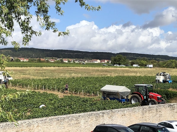 Vistas al campo desde el alojamiento