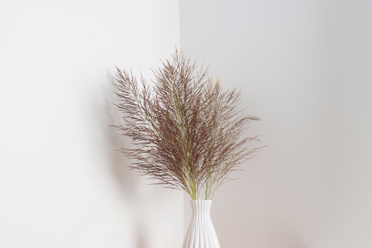 Una pared blanca con un estante de madera que sostiene un jarrón blanco con plantas secas.