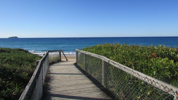 A wooden boardwalk leading to the beach, surrounded by greenery and a clear blue sky. - Aqualuna Beach Resort (Korora)