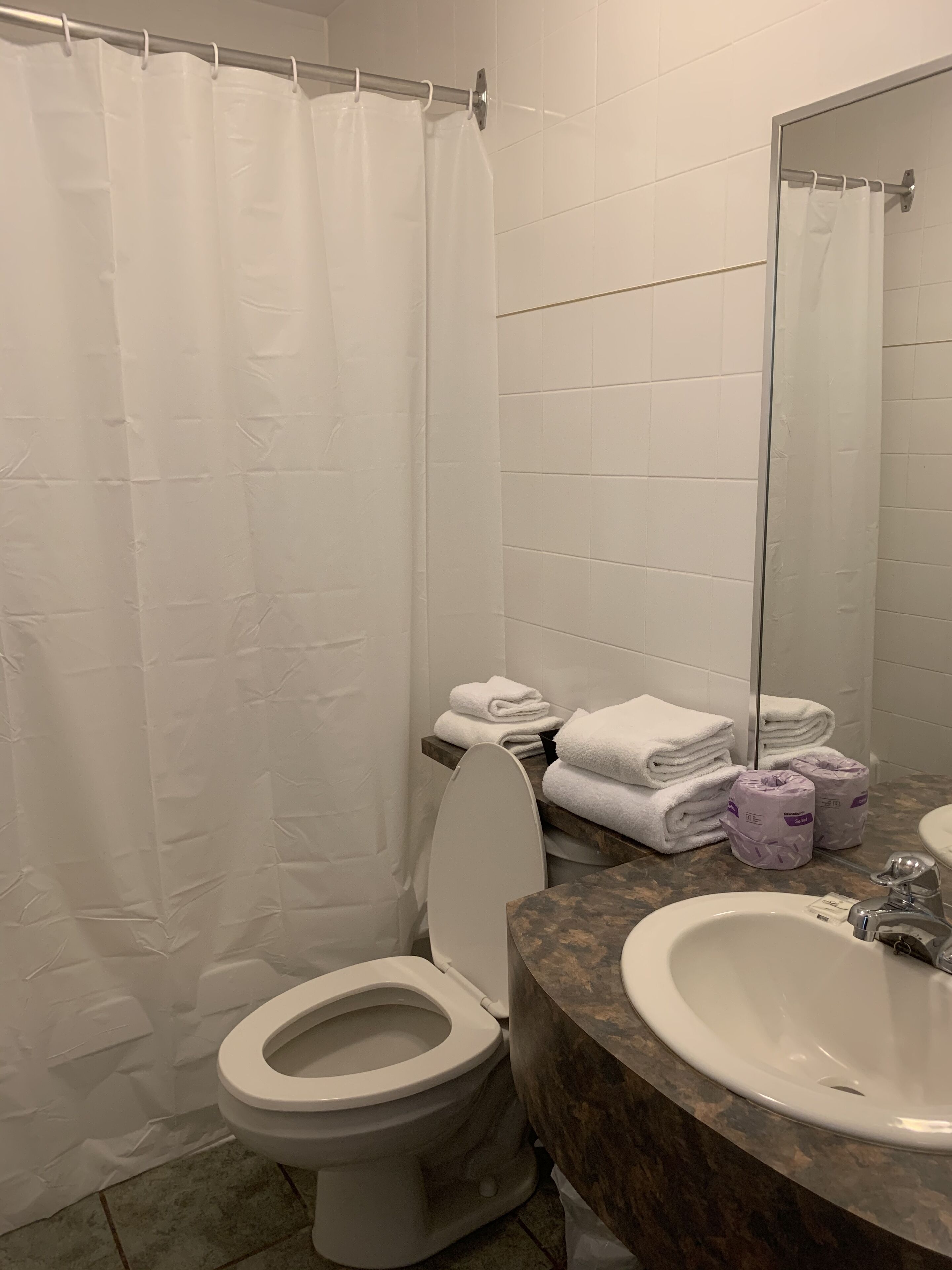 Un baño con inodoro, lavamanos, espejo y cortina de ducha.