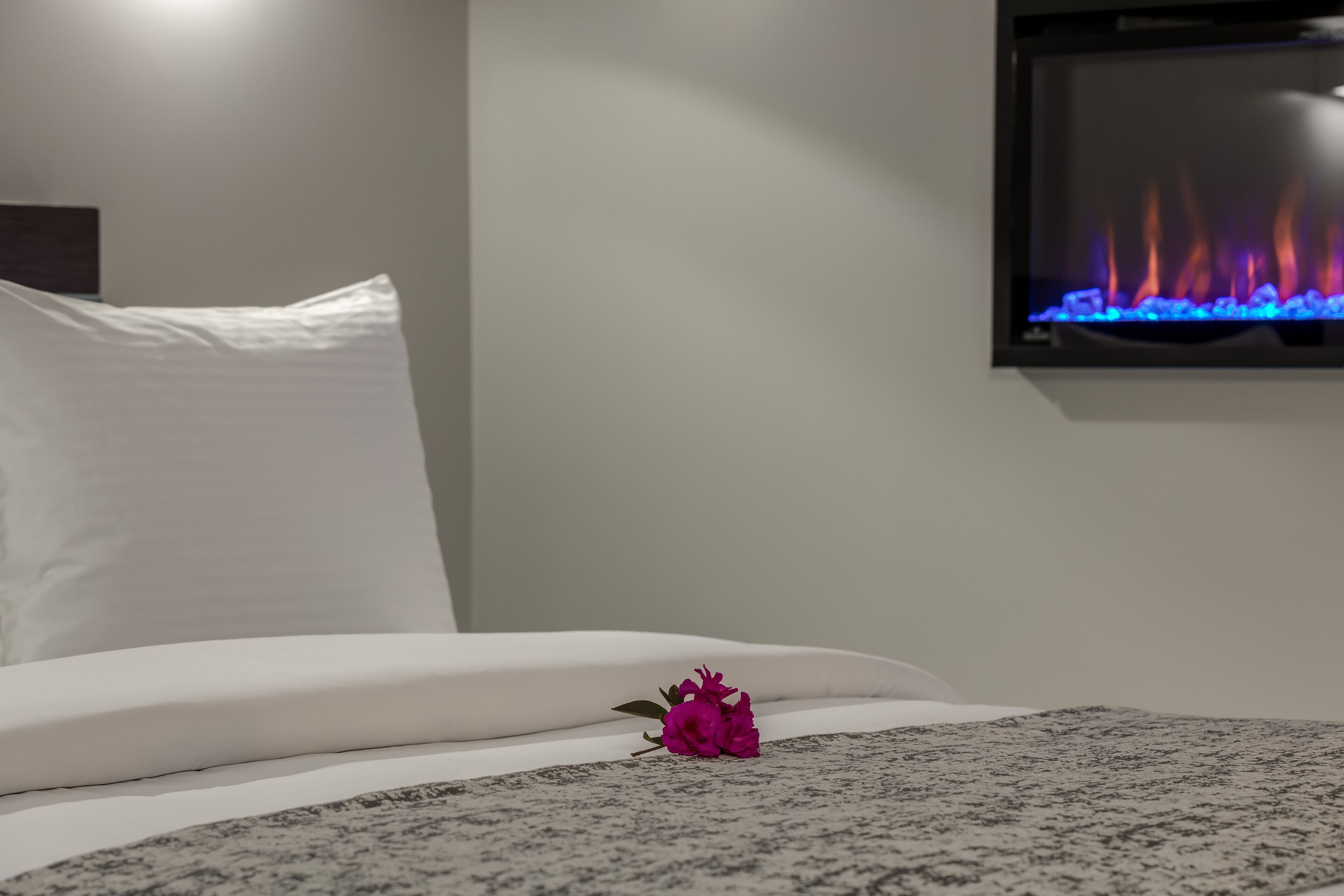 premium room, 1 queen bed | premium bedding, down duvets, in-room safe, desk