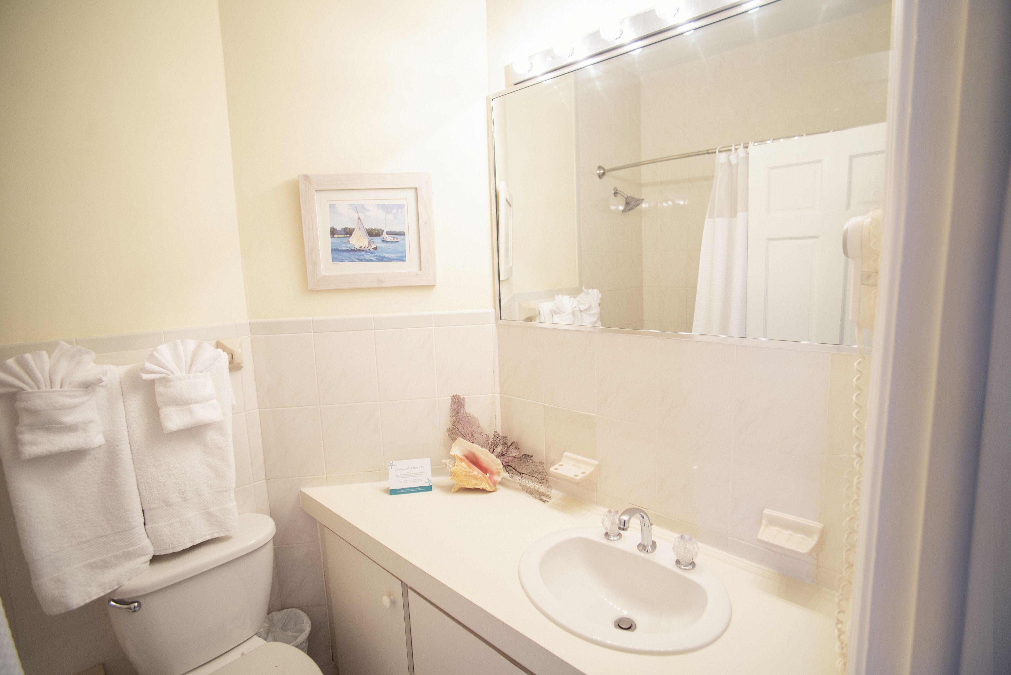 Een badkamer met toilet, wastafel en een grote spiegel.