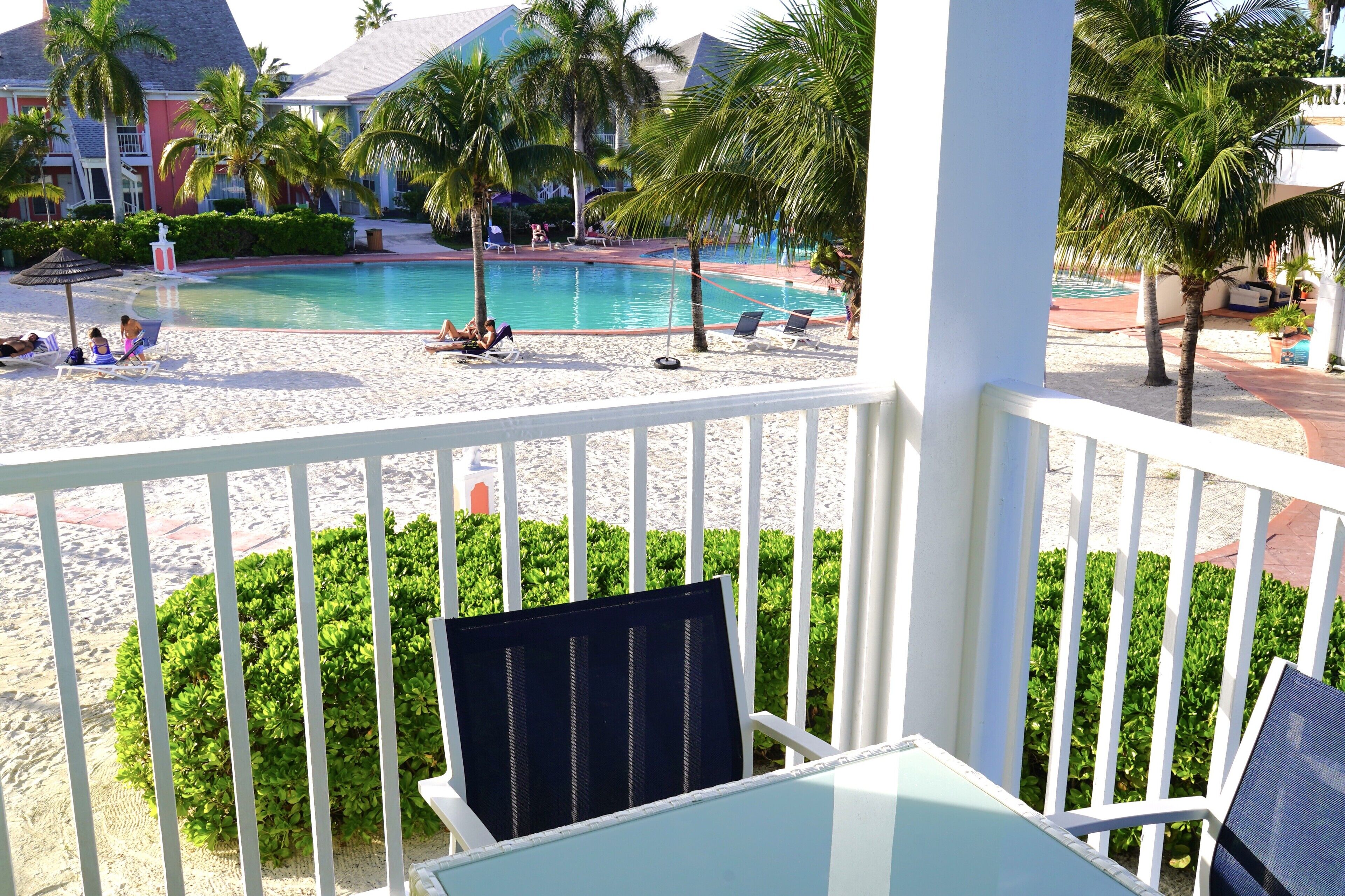 A poolside view with a white railing, palm trees, and a clear blue pool.
