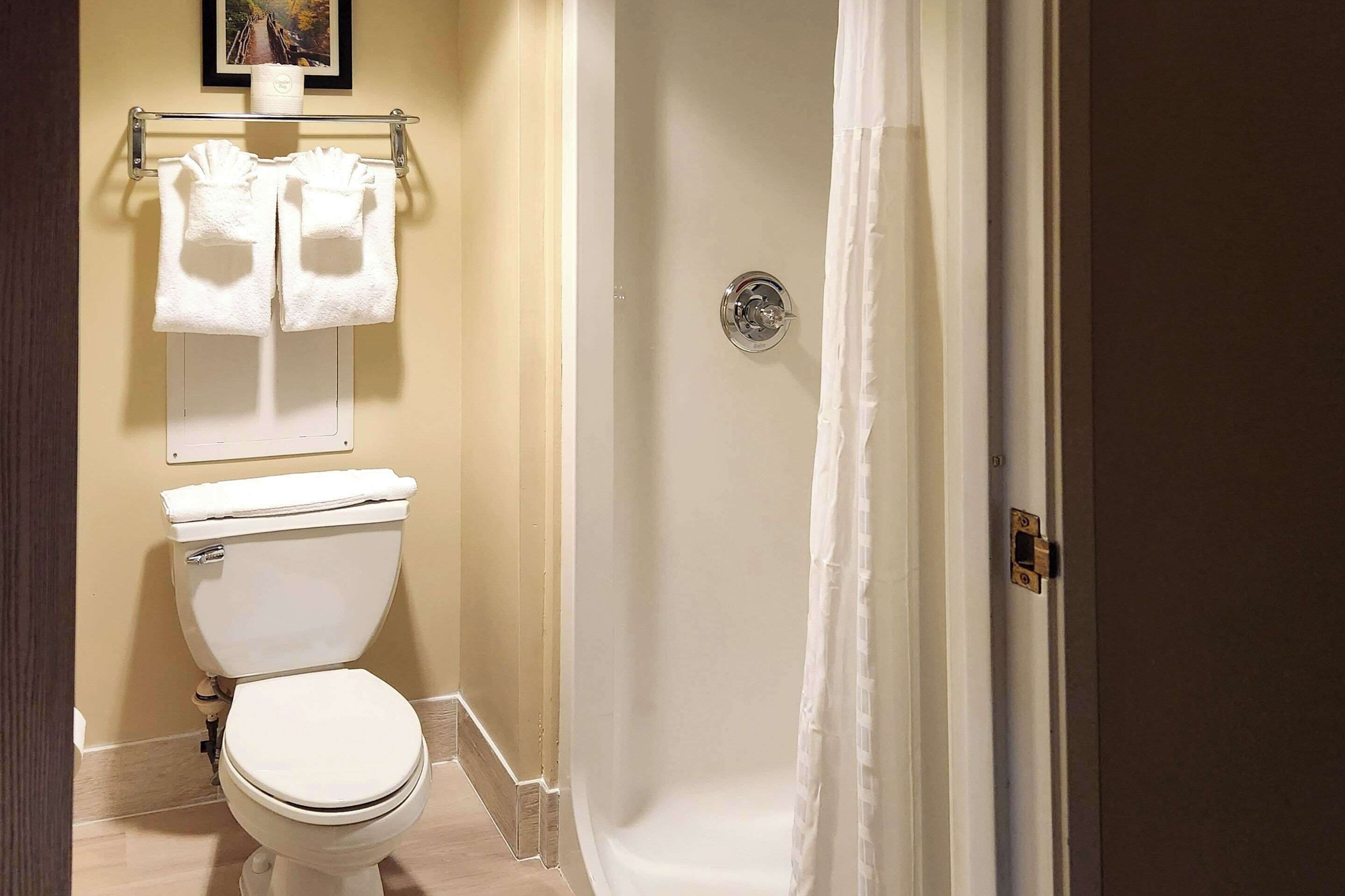 A bathroom with a toilet, a shower curtain, and a towel rack with two towels.