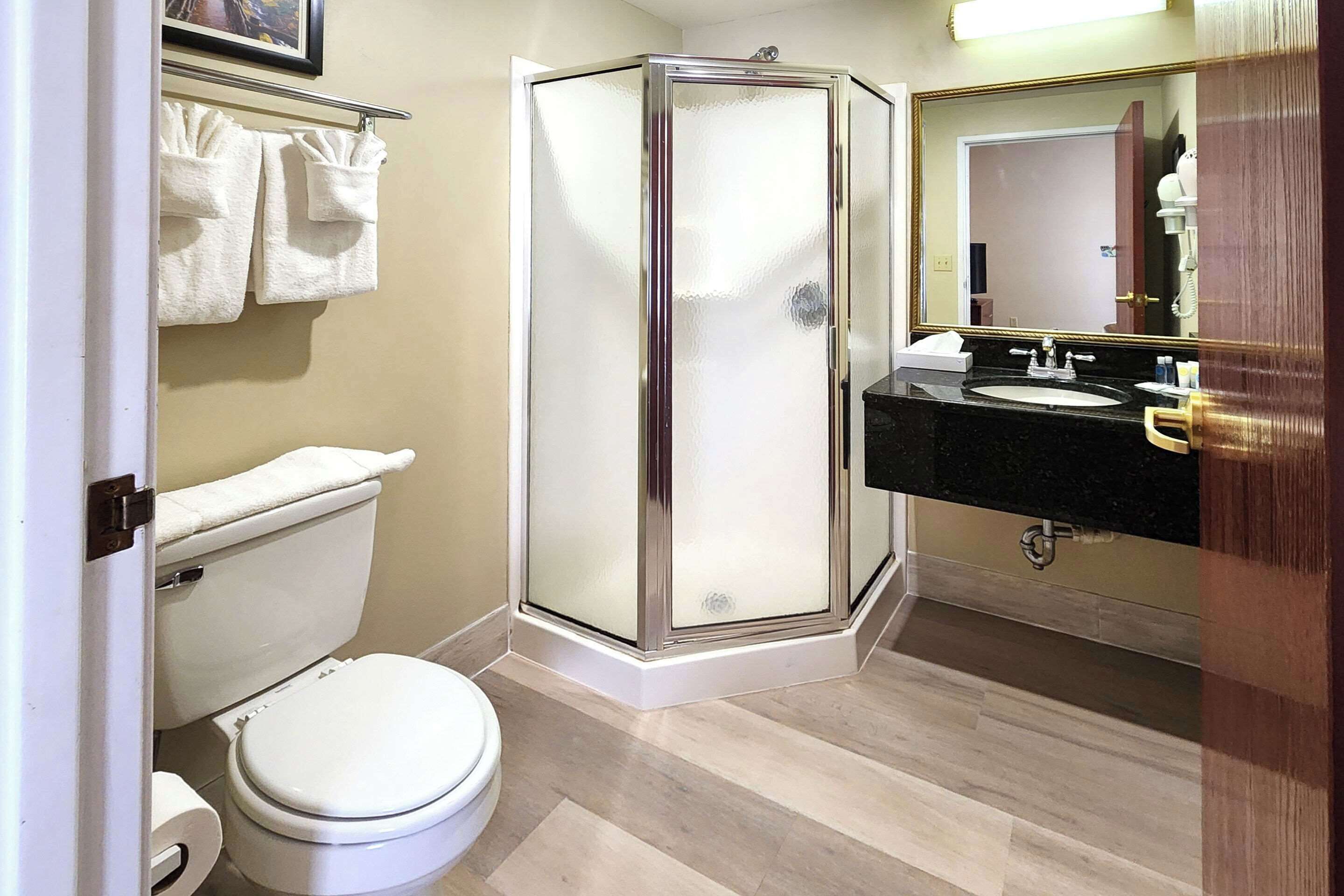 Une salle de bain comprenant des toilettes, une douche fermée par une paroi de verre et un lavabo avec un miroir.