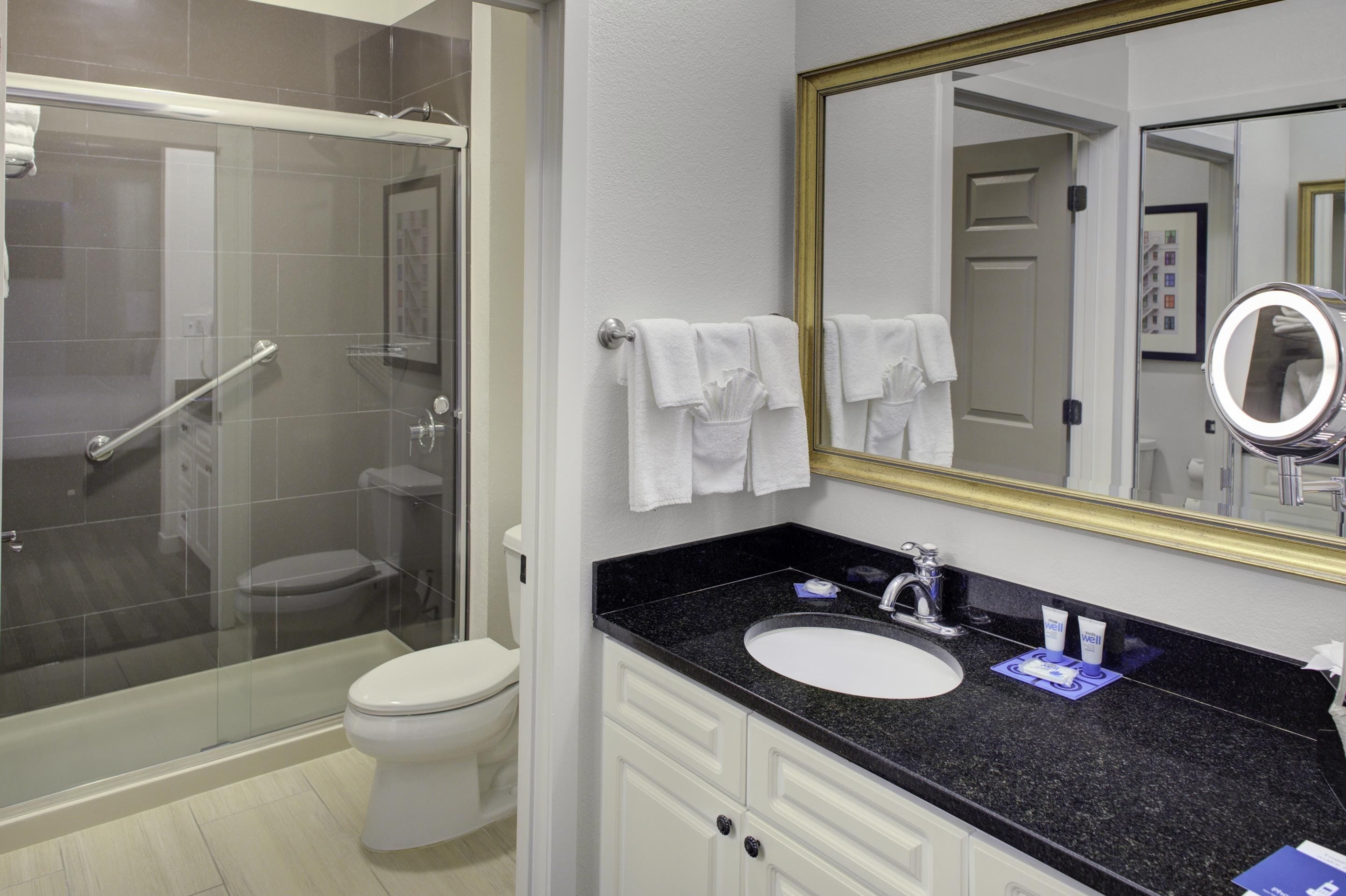 A modern bathroom with a glass-enclosed shower, a white toilet, a vanity with a black countertop, and a large mirror with a gold frame.