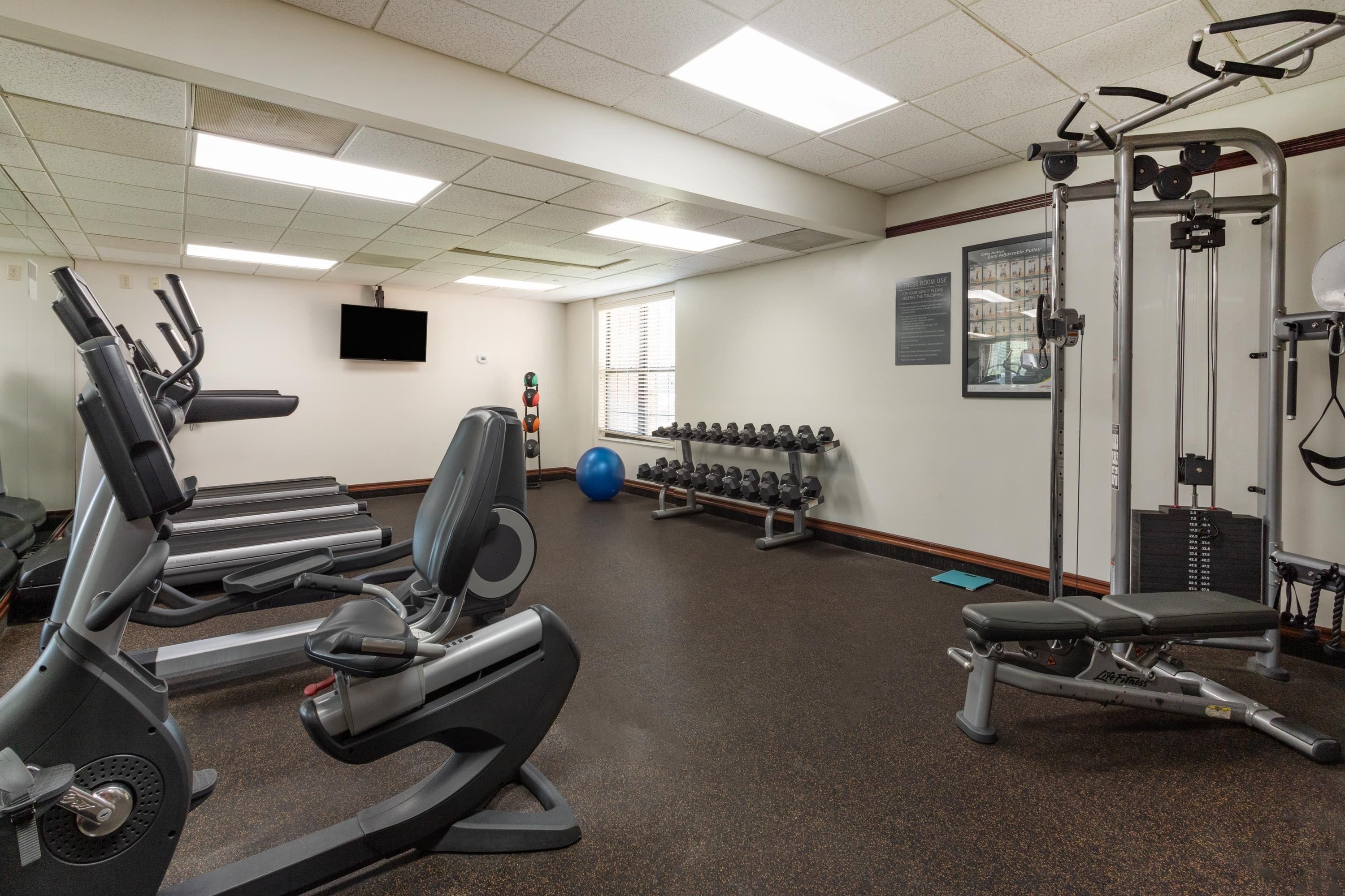 A gym with treadmills, weight machines, and dumbbells.