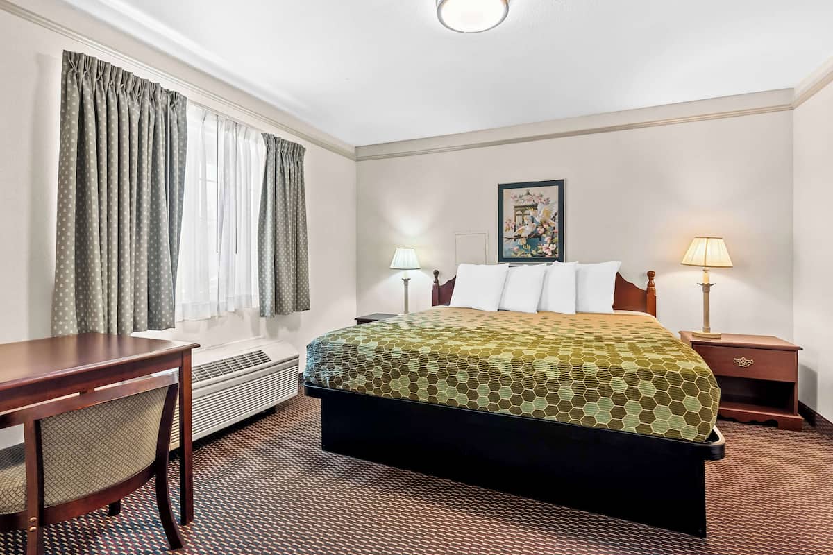 Habitación de hotel con cama, dos mesitas de noche, un escritorio, una silla, ventana con cortinas, radiador y un cuadro en la pared.