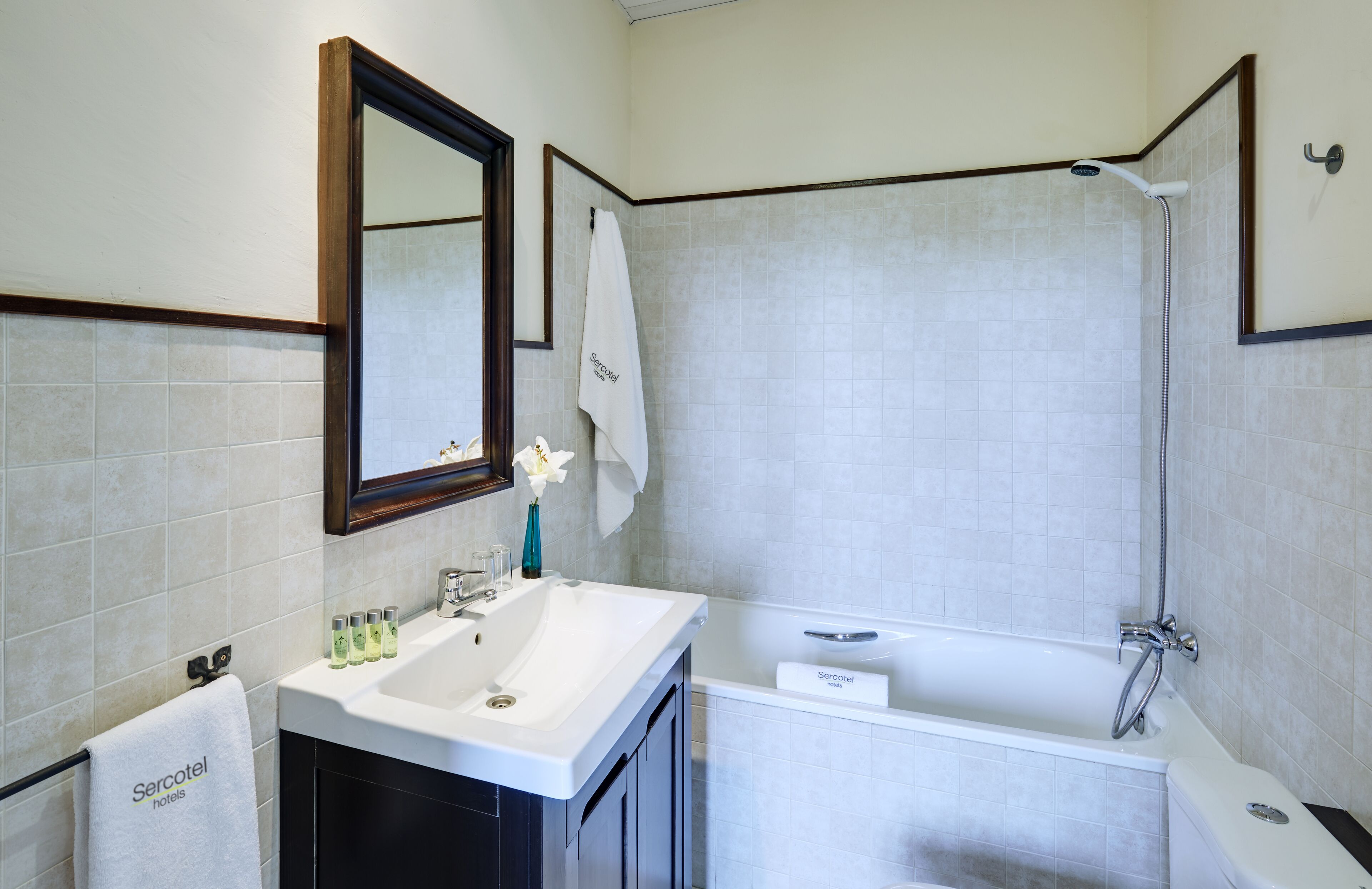 double room | bathroom | hair dryer, towels