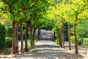 A pathway lined with trees in a garden setting. - Hotel Rural y Apartamentos Villa Engracia (L'Espluga de Francoli)