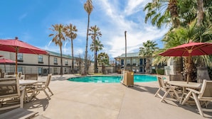 A pool area with lounge chairs and umbrellas, surrounded by palm trees and buildings. - Motel 6 Laredo, TX - North I-35 (Laredo)