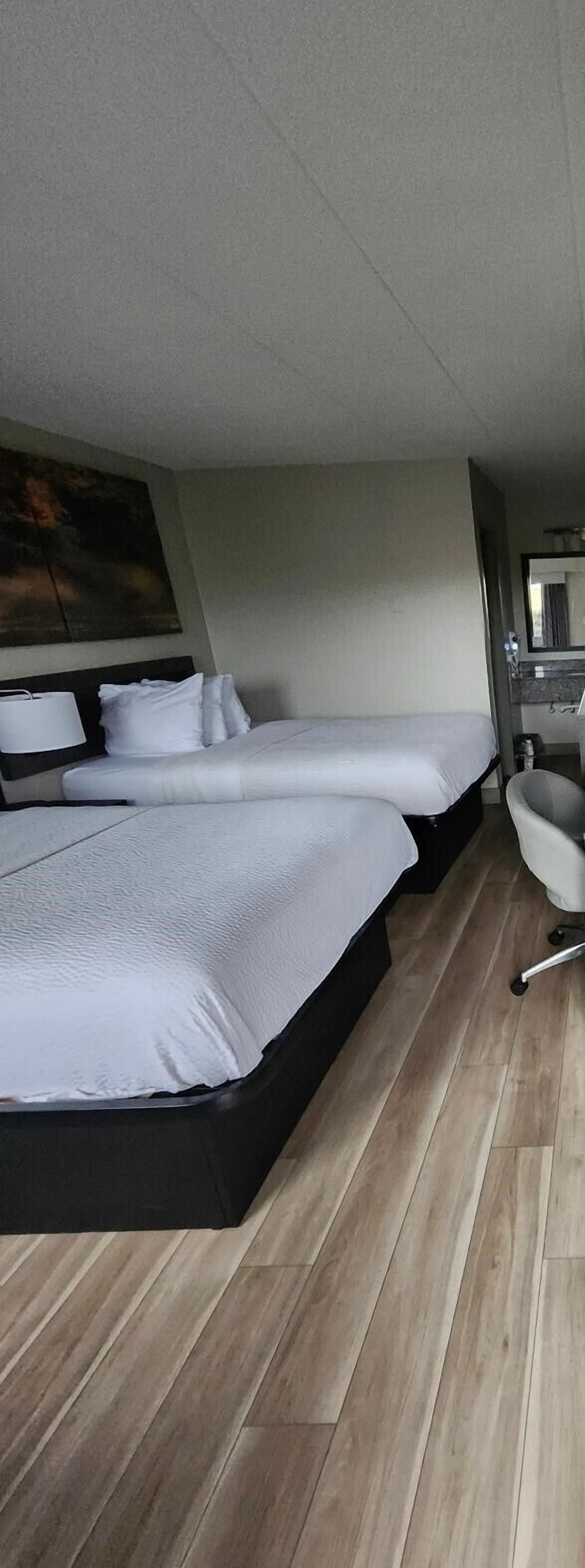 premium bedding, desk, free wifi, bed sheets