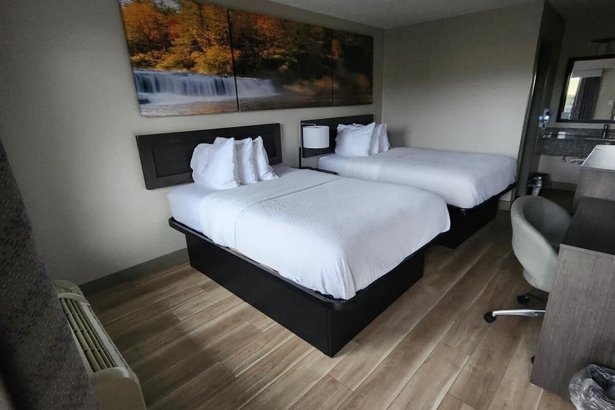 premium bedding, desk, free wifi, bed sheets