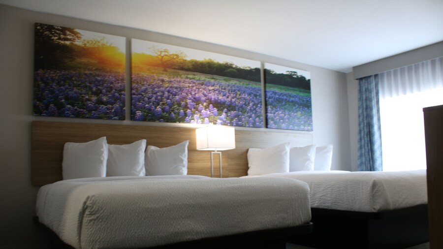 Days Inn by Wyndham Waco University Area