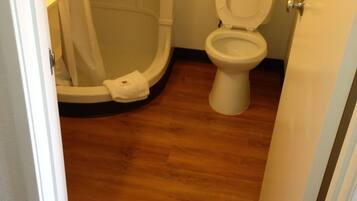 A bathroom with a toilet, shower, and wooden floor.