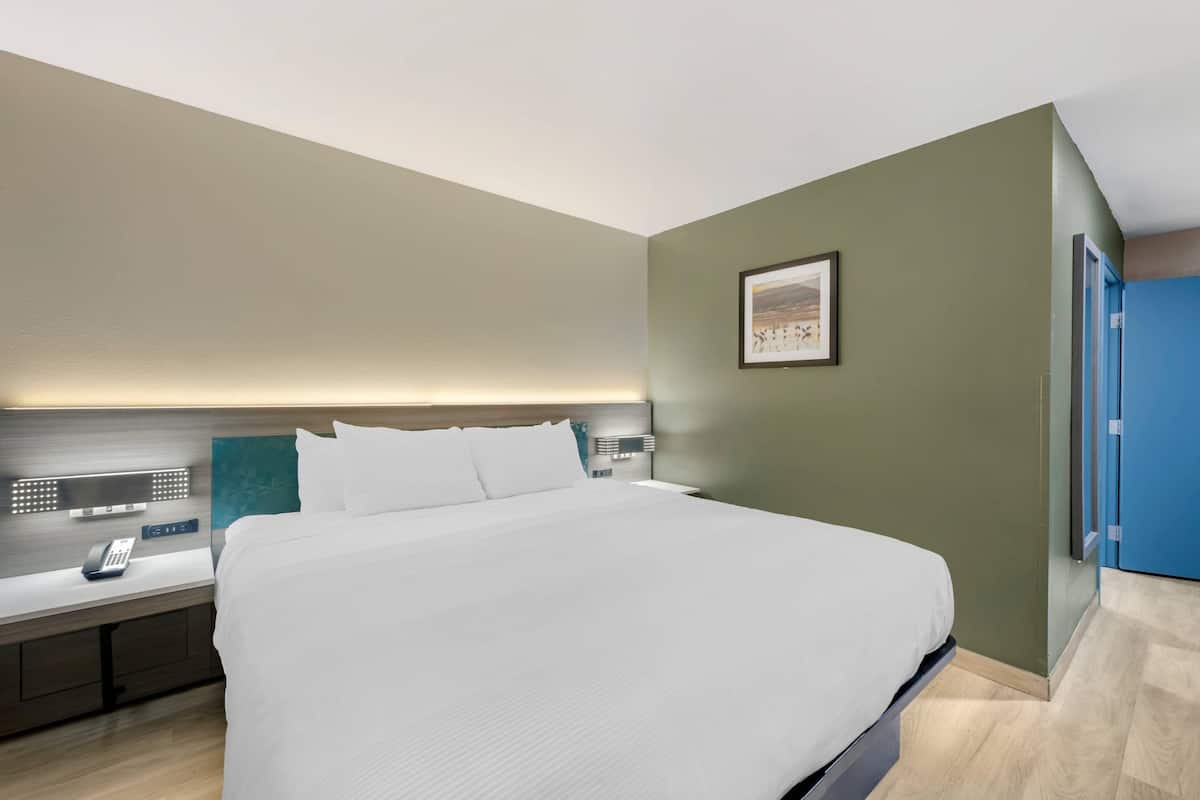 A modern hotel room with a large bed, a bedside table with a phone, a nightstand with a lamp, and a framed picture on the wall.