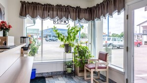 A hotel room with a large window, a wooden desk, a chair, and several potted plants. - Motel 6 Albany, OR (Albany)