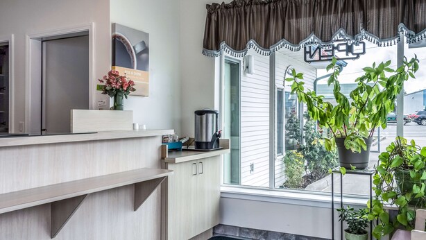 A modern kitchen with light wood cabinets, a black trash can, a window with a view of the outside, and a potted plant on a small table. - Motel 6 Albany, OR (Albany)