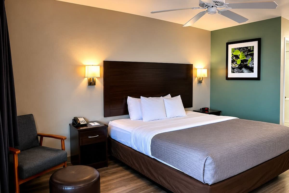 Blackout curtains, iron/ironing board, free cots/infant beds, free WiFi