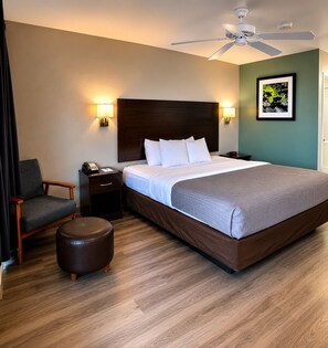 A hotel room with a bed, a chair, a nightstand, a phone, a ceiling fan, and a framed picture on the wall.