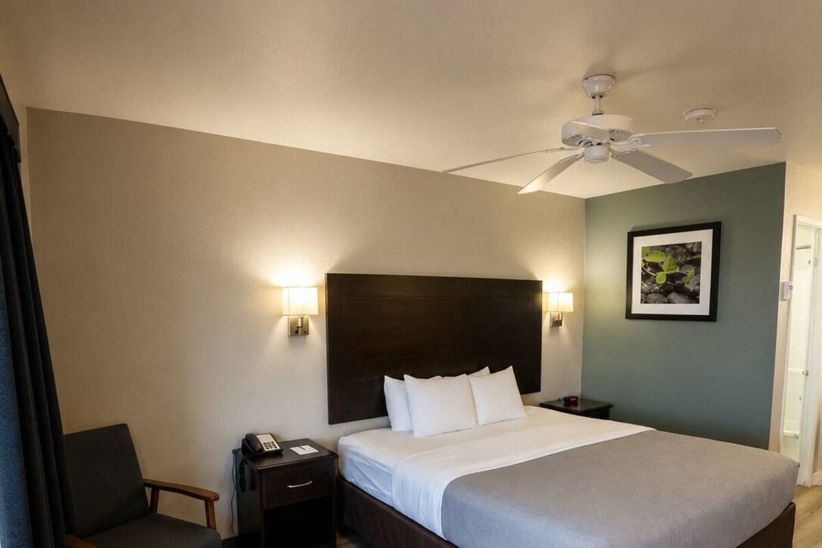 Blackout curtains, iron/ironing board, free cots/infant beds, free WiFi