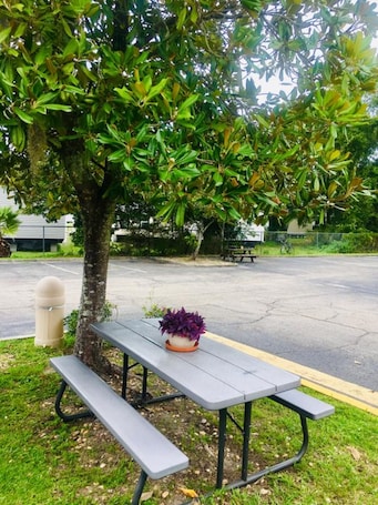 Área de parrillas y picnic
