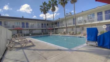 Ein Hotelpoolbereich mit Liegestühlen und Palmen.