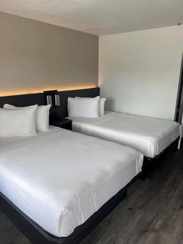 Wi-Fi gratuit, draps fournis