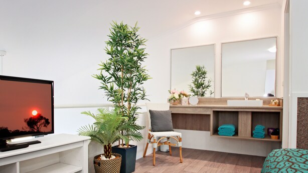 Executive Suite, 1 Queen Bed | Bathroom | Free toiletries, hair dryer, towels - Merimbula Sea Spray Motel (Merimbula)