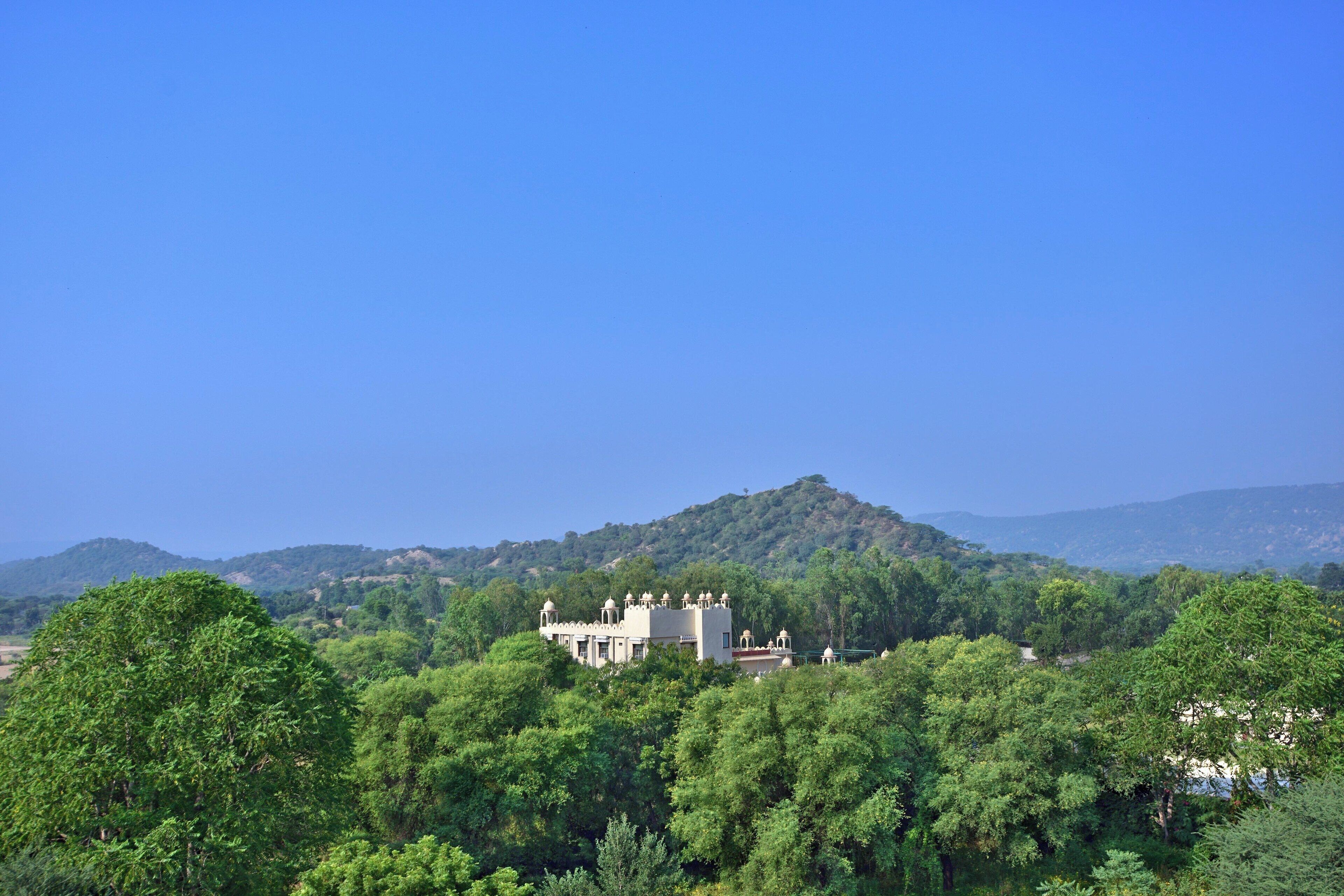 presidential suite, 2 bedrooms, non smoking | 1 bedroom, premium bedding, down duvets, memory-foam beds