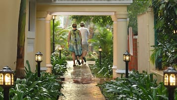 Accommodatievoorziening