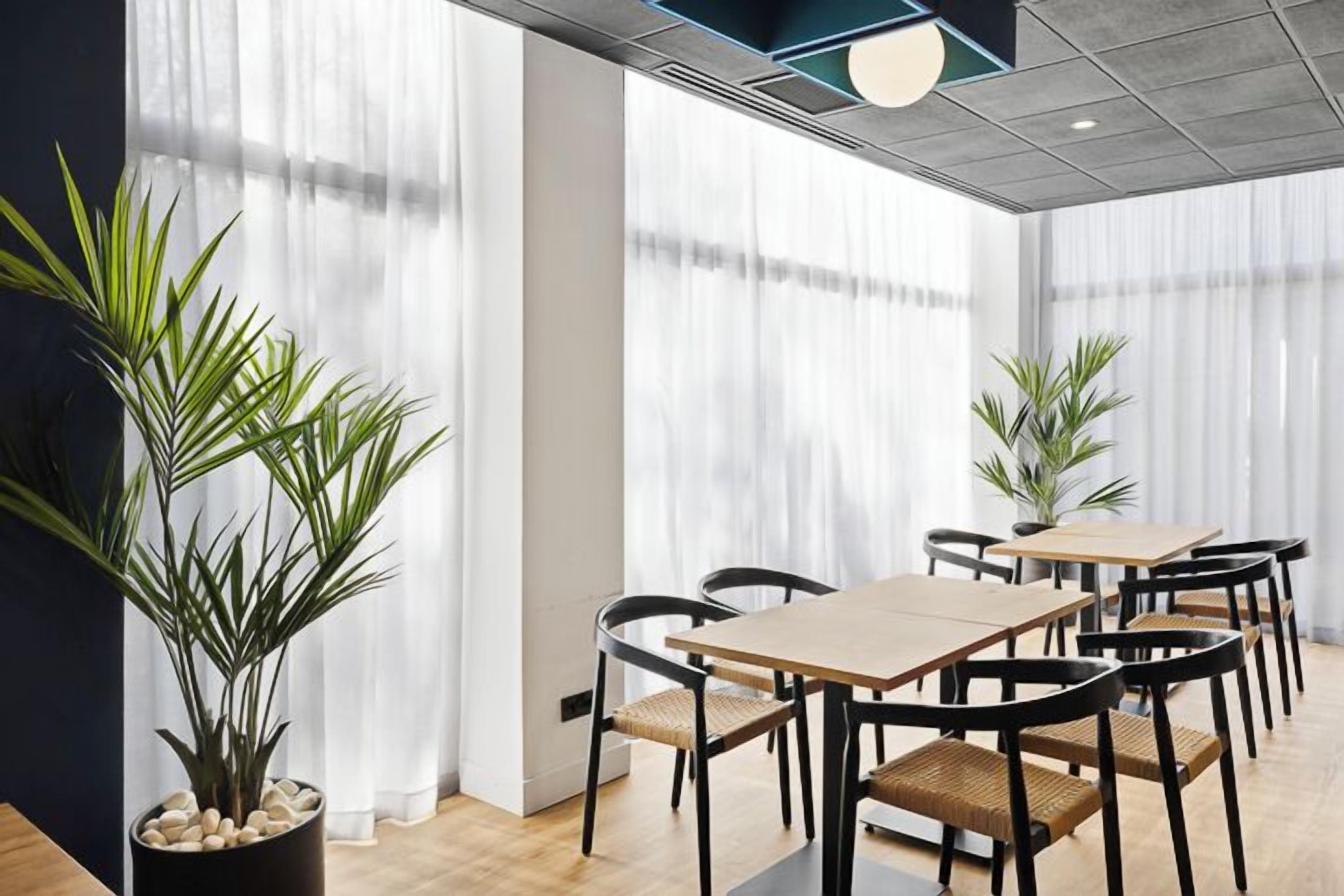 A conference room with a wooden table and chairs, large windows with sheer curtains, and potted plants.