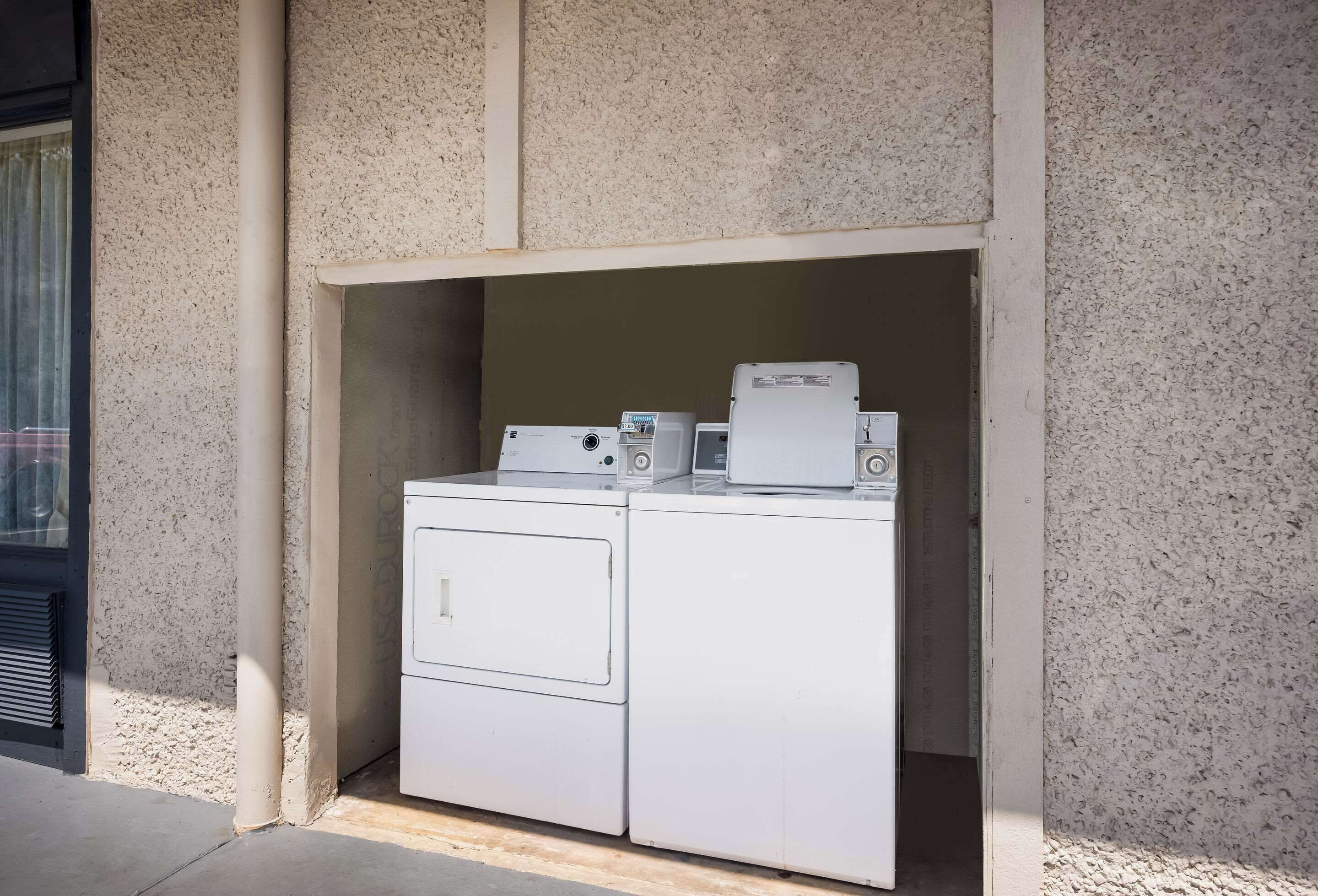 Un espace buanderie compact comprenant un lave-linge et un sèche-linge, le tout délimité par un mur à texture.