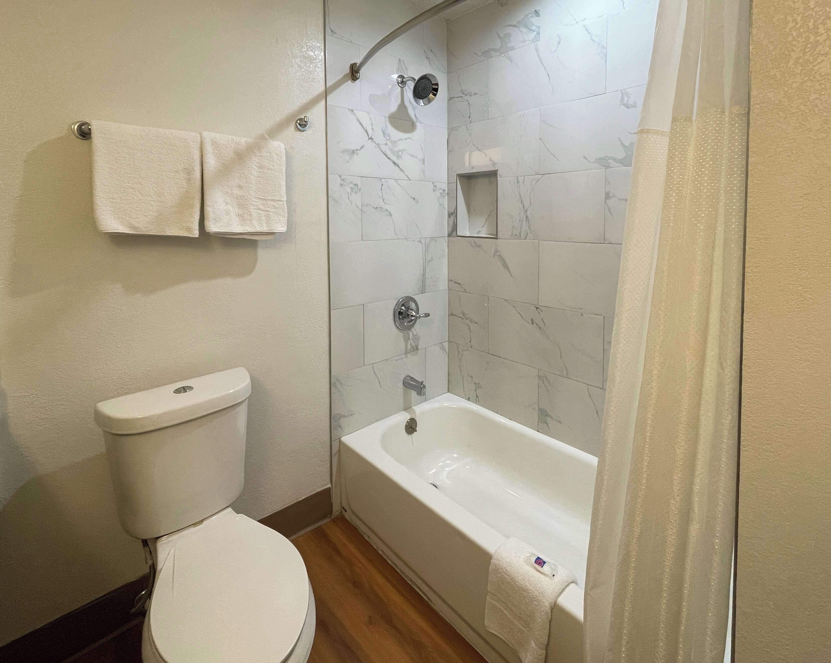 A bathroom with a toilet, a bathtub, and a shower.