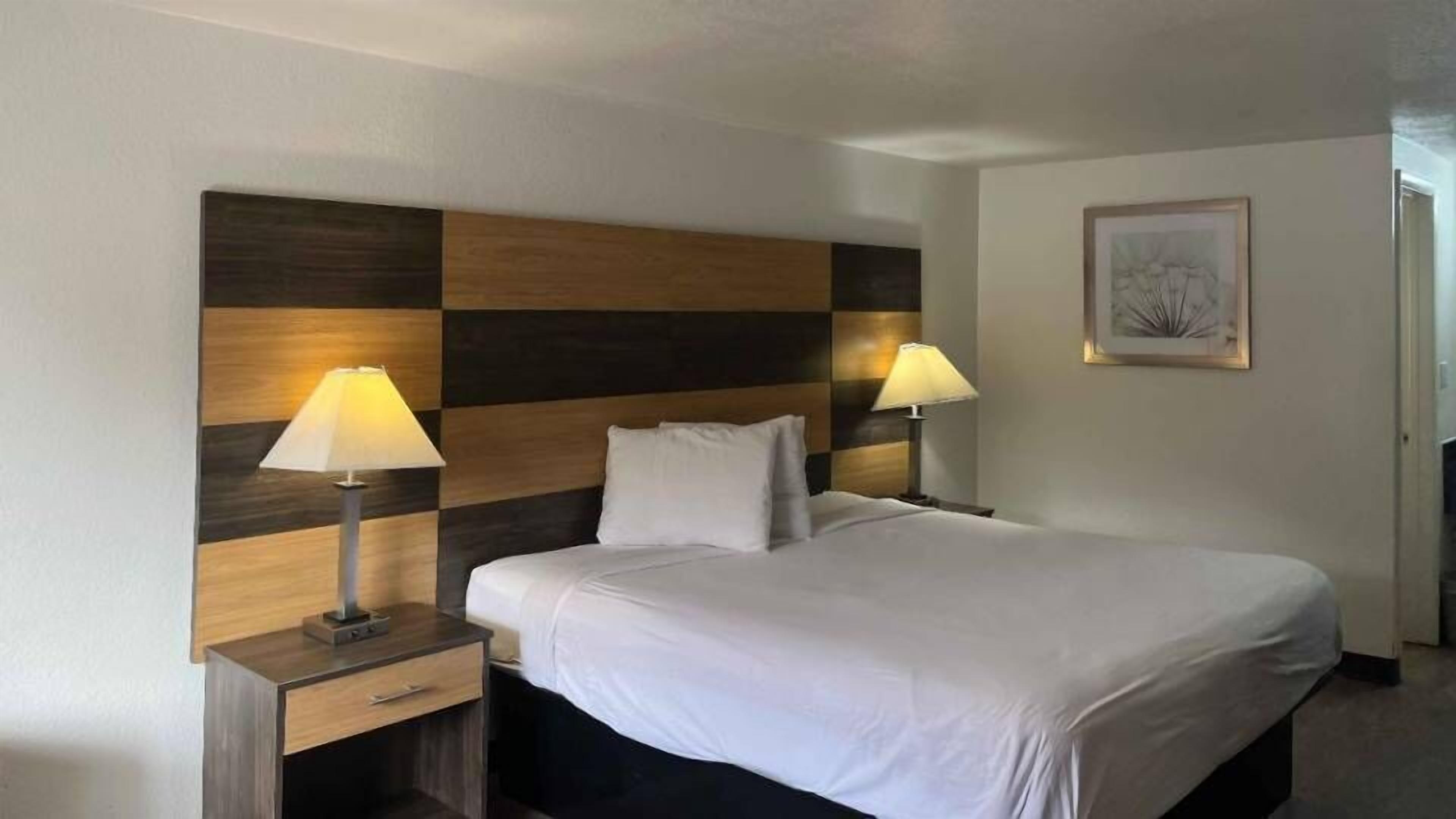 Habitación de hotel con una cama grande, dos mesitas de noche con lámparas, un cabecero estampado con un diseño a cuadros y un cuadro en la pared.
