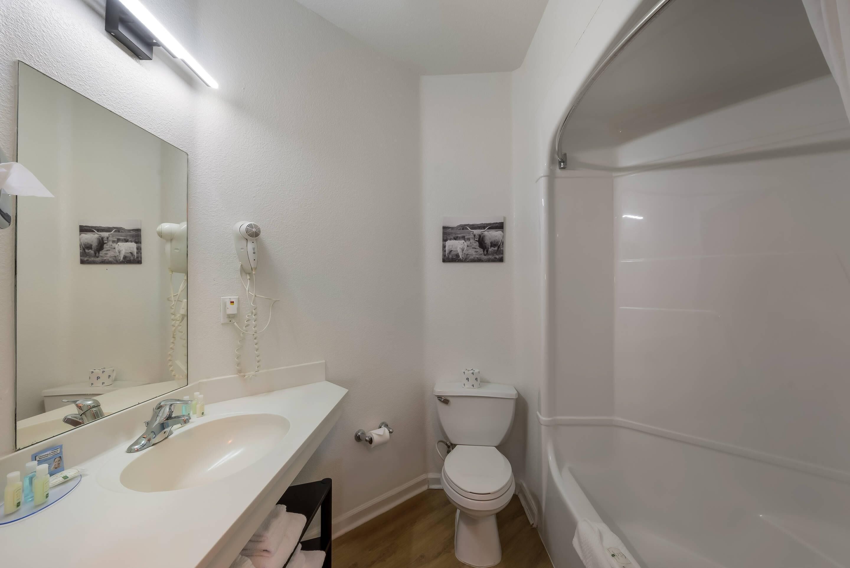A bathroom with a sink, mirror, toilet, and bathtub.