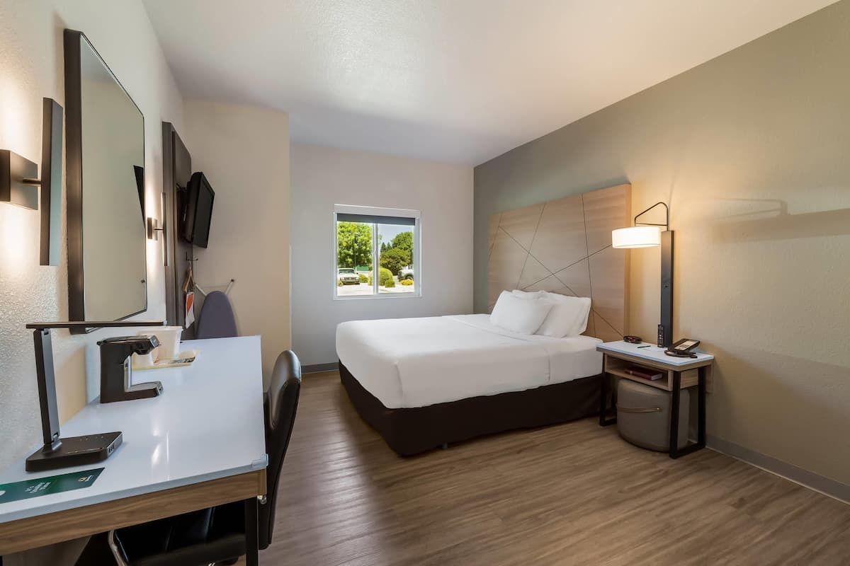 Quarto de hotel com cama, escrivaninha, cadeira, mesa de cabeceira, abajur e televisão fixada na parede.